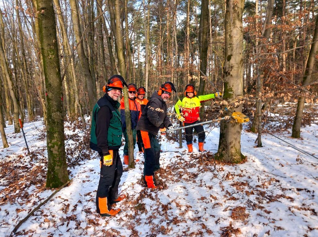 Teamwork in het bos: collega’s leren van en met elkaar